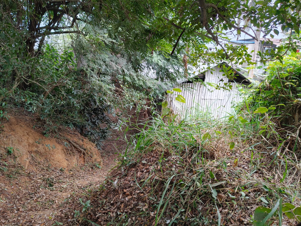 Sanskrit scholar who is engaged in unremitting pursuit of knowledge despite his physical disability