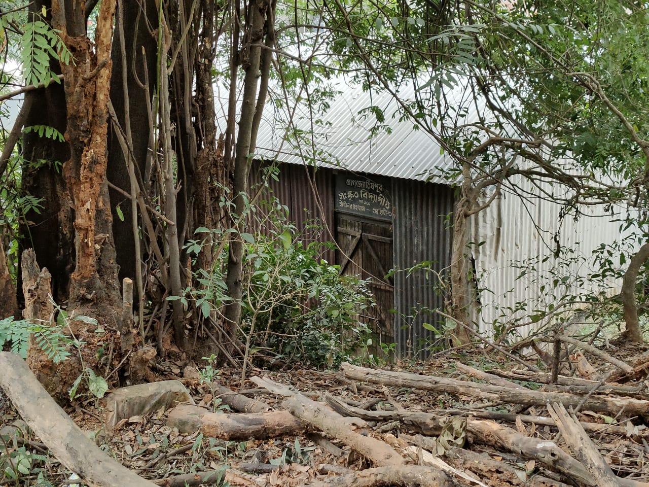 Sanskrit scholar who is engaged in unremitting pursuit of knowledge despite his physical disability