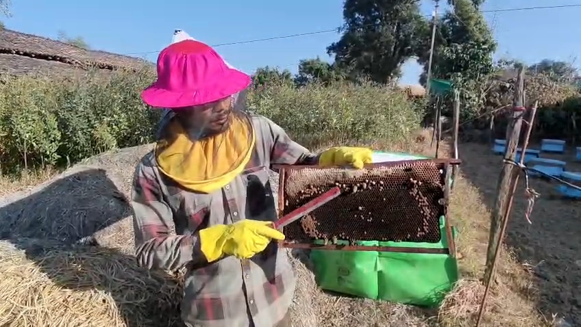 farmer keeping bees