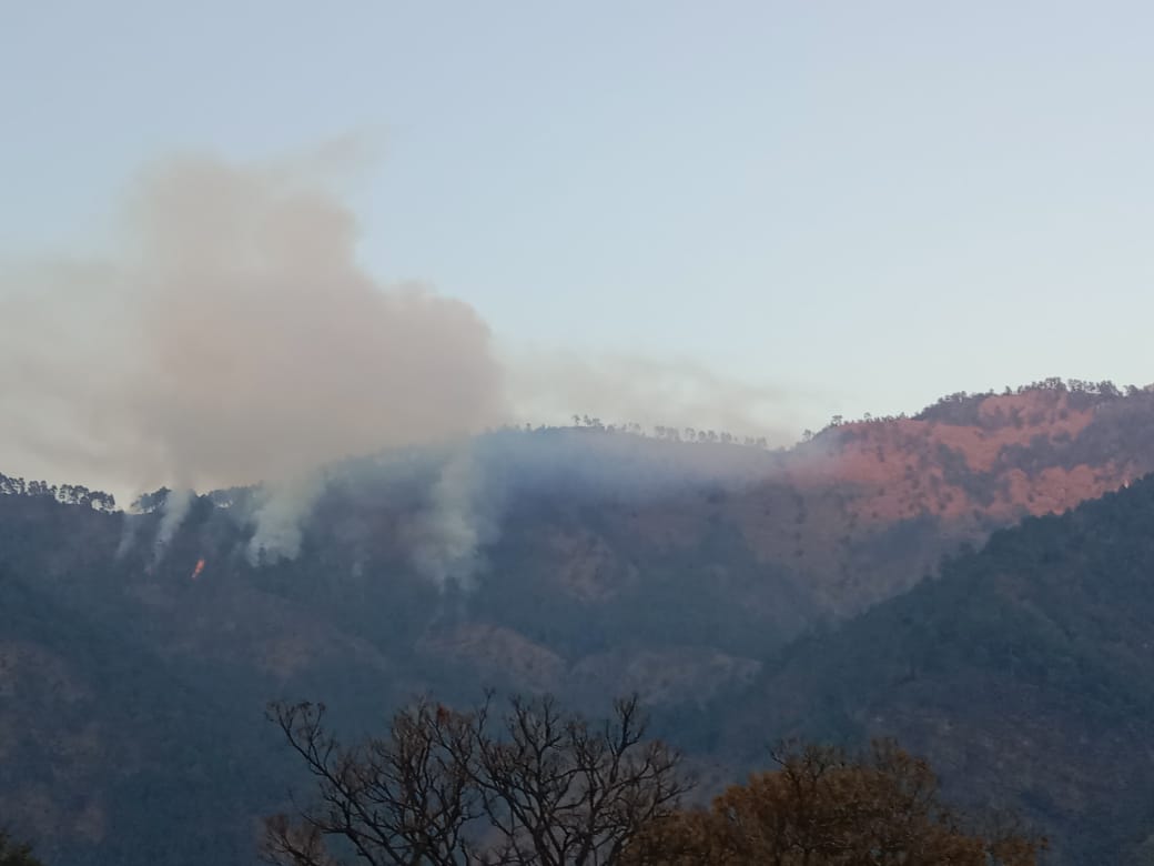 Chamoli Forest Burn