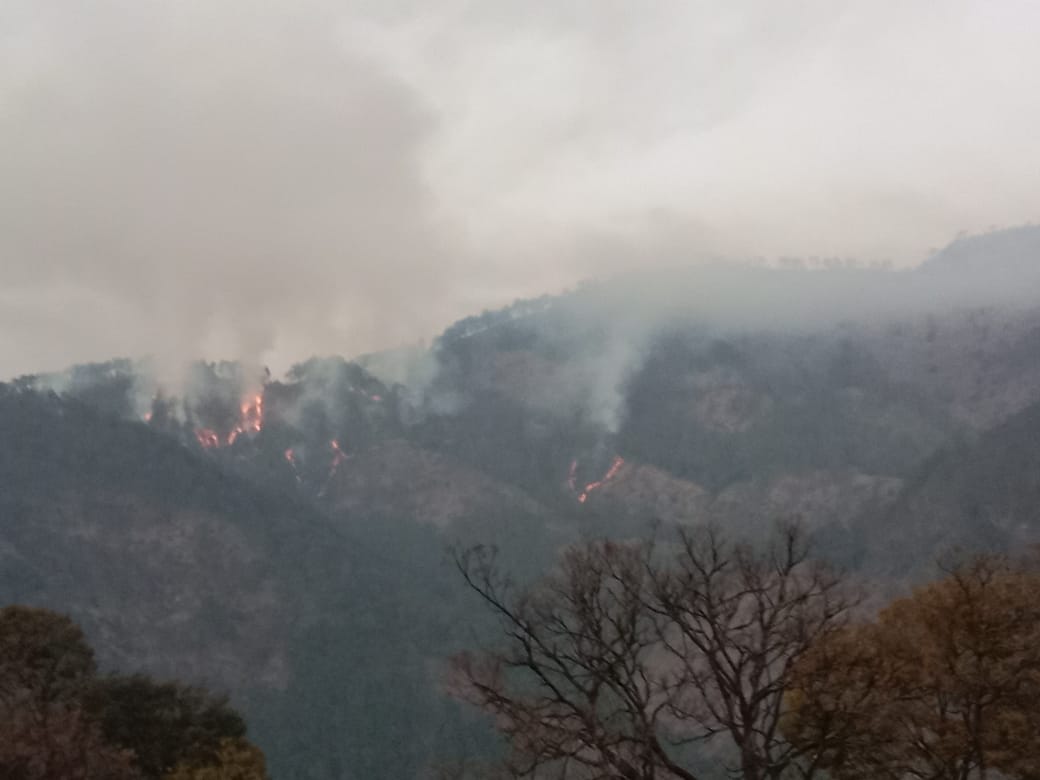 Chamoli Forest Burn