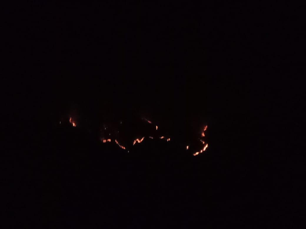 Chamoli Forest Burn