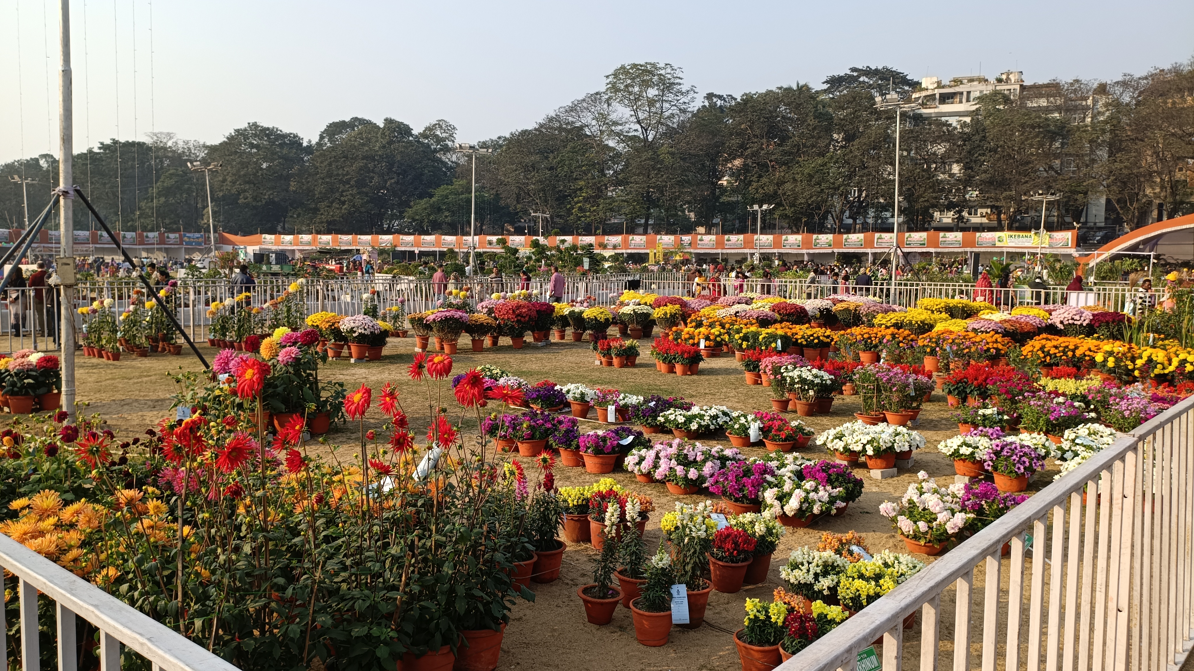 flowers exhibition 2025