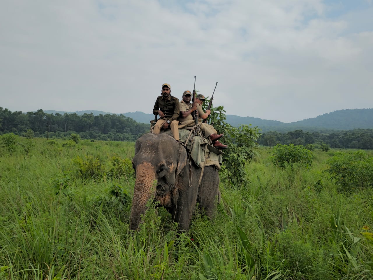 UTTARAKHAND WILDLIFE TERROR