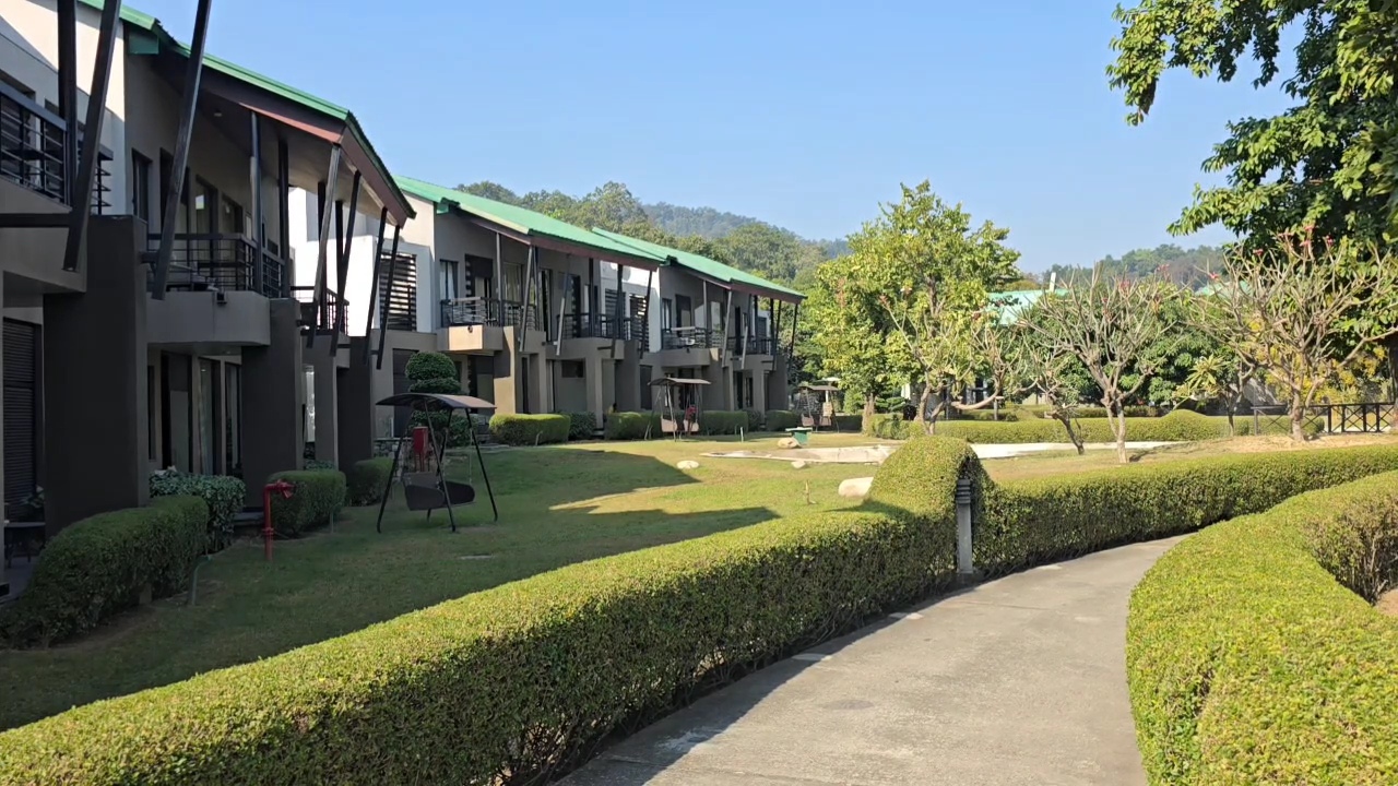 New Year celebration preparations