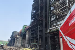 REAL ISPAT AND ENERGY PLANT