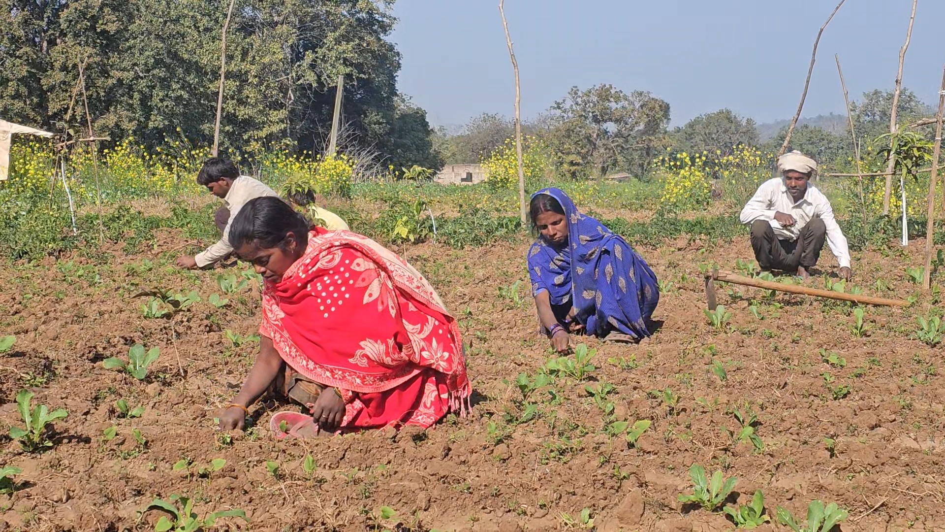 10 women group started mixed farming in Hazaribag