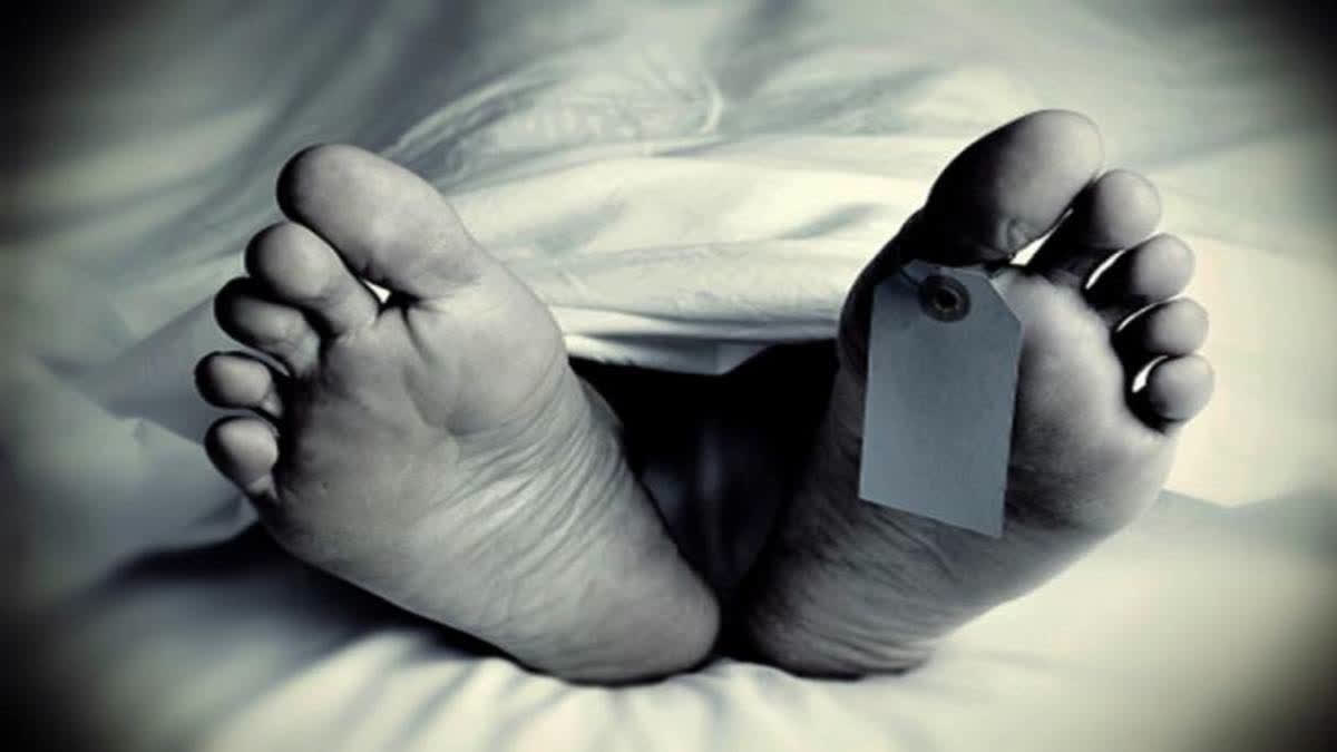 ETV Bharat News - Other - News Image