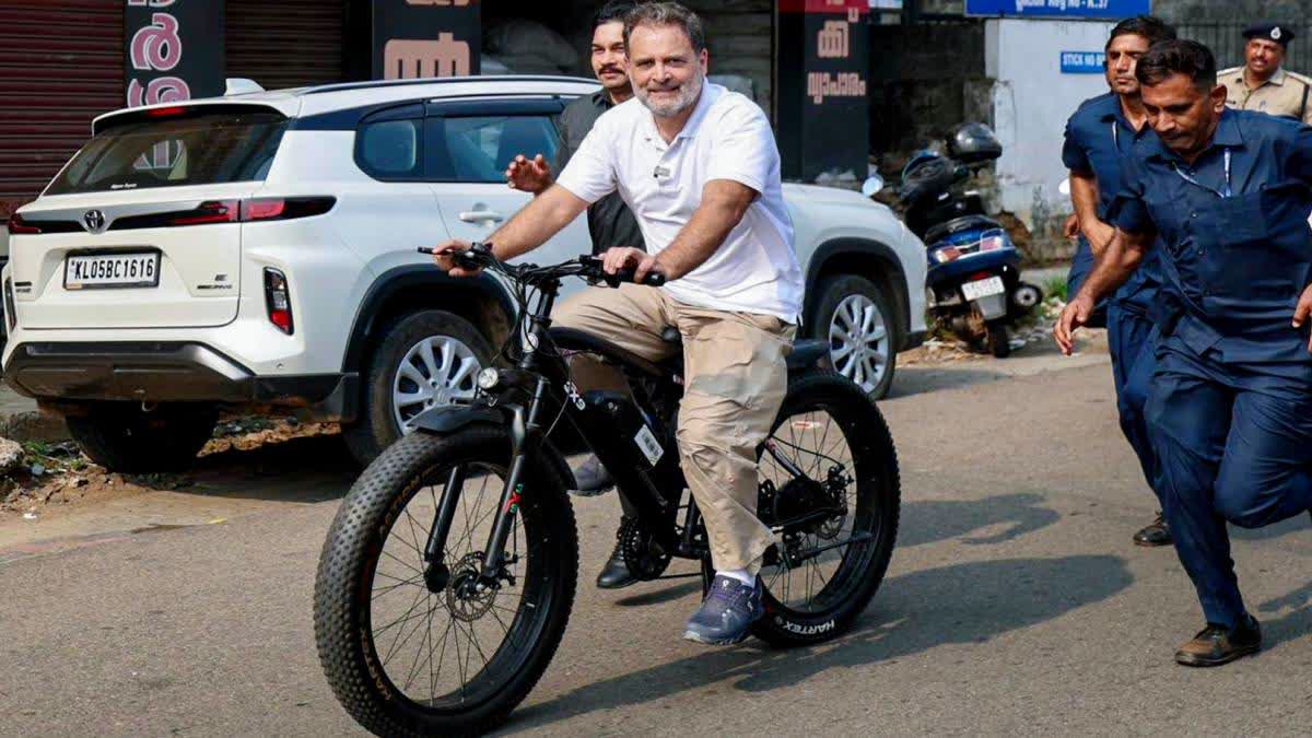 A file photo of Rahul Gandhi rides a bicycle during campaign in Kottayam for the Kerala Assembly elections.