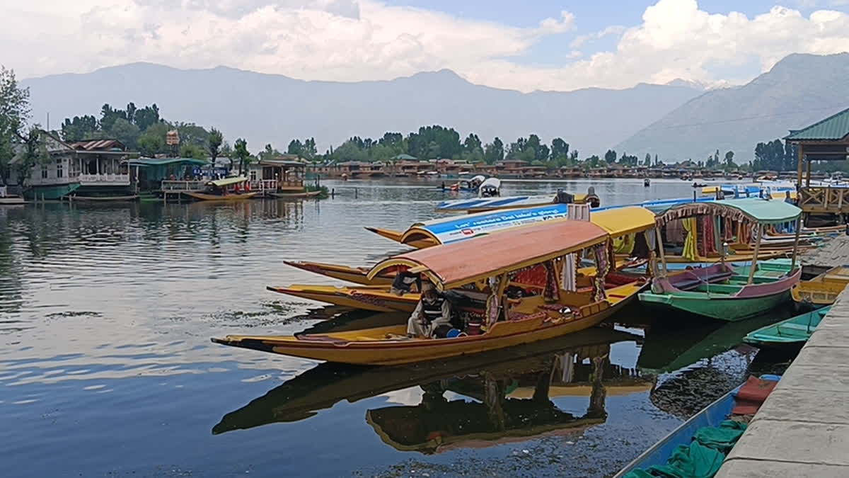 Shikaras in the iconic Dal Lake with houseboats in the backdrop in Srinagar