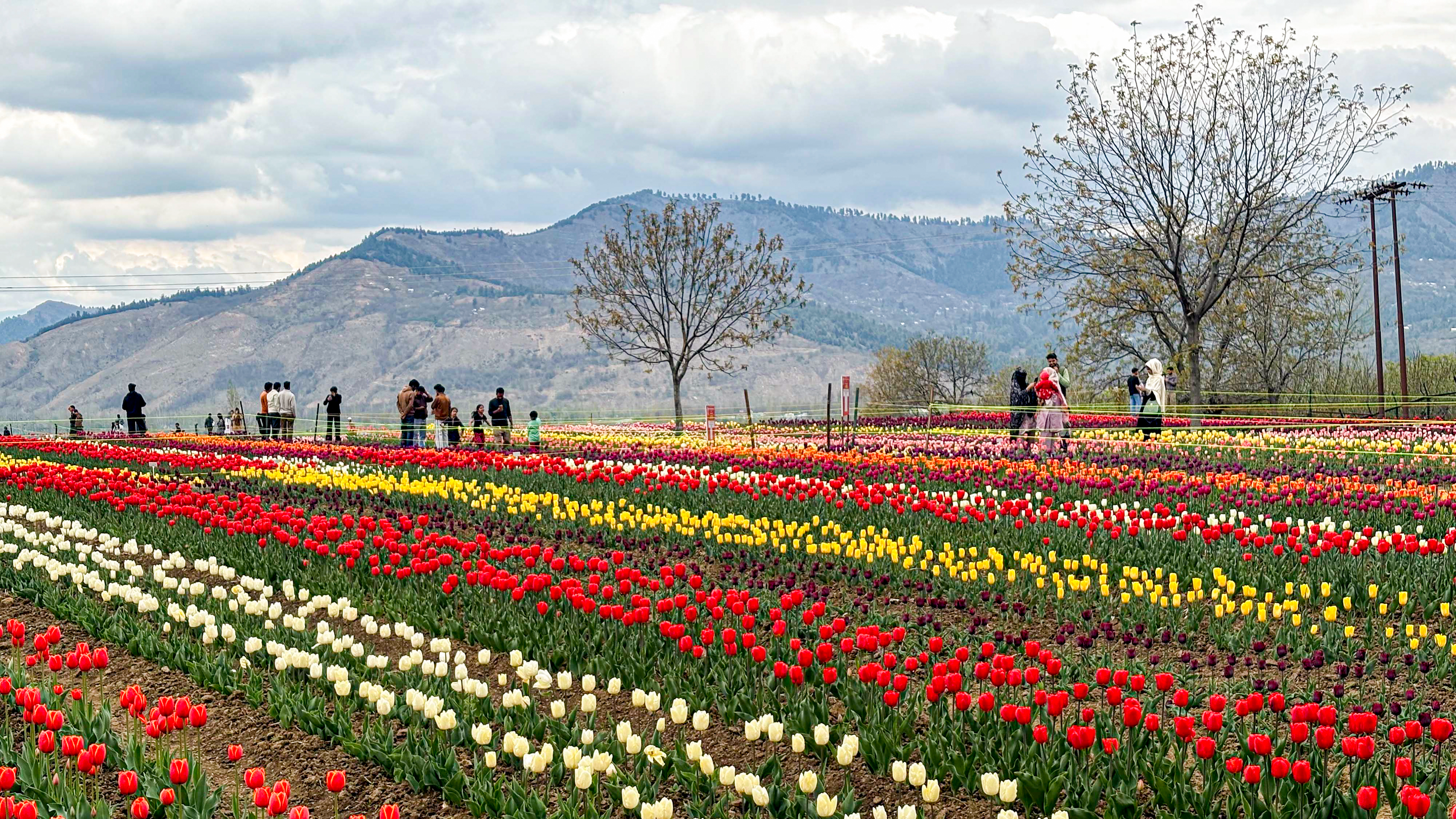 West Asia Conflict Impact on Travel