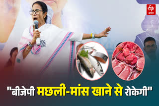 ममता बनर्जी का बीजेपी पर निशाना
