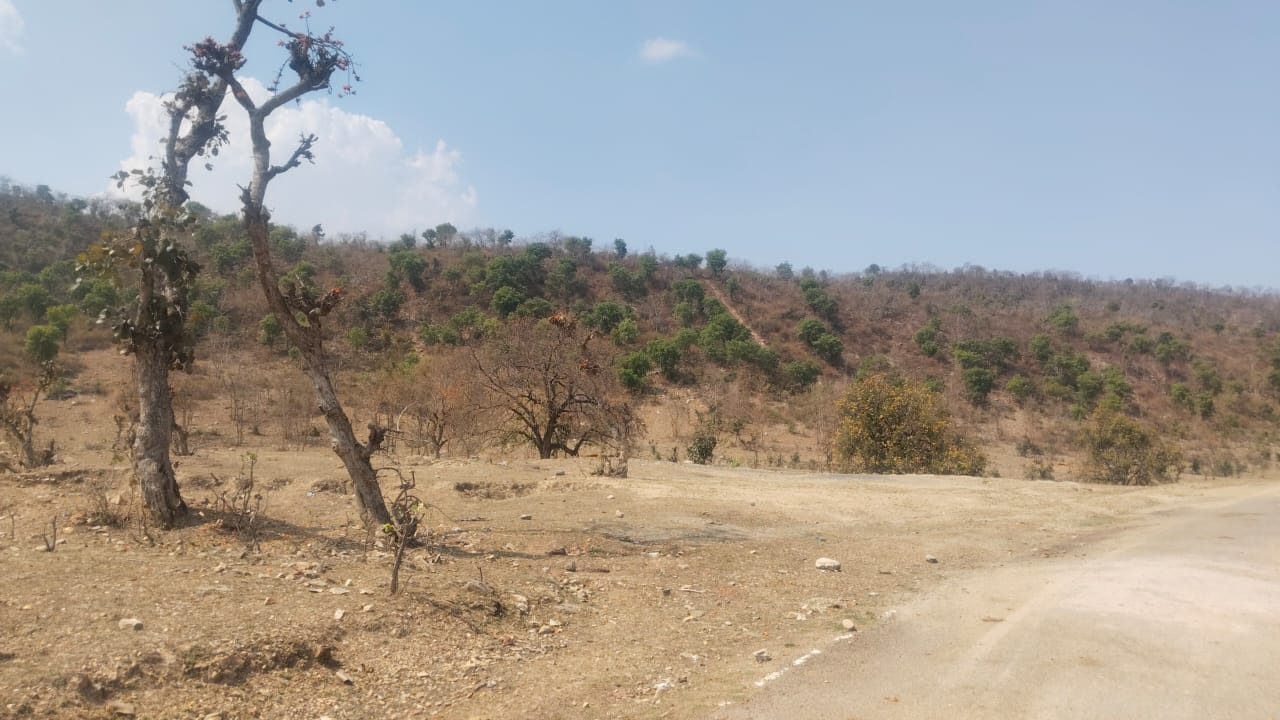 Bihar School Forces Students To Trek Through Fields For Decades