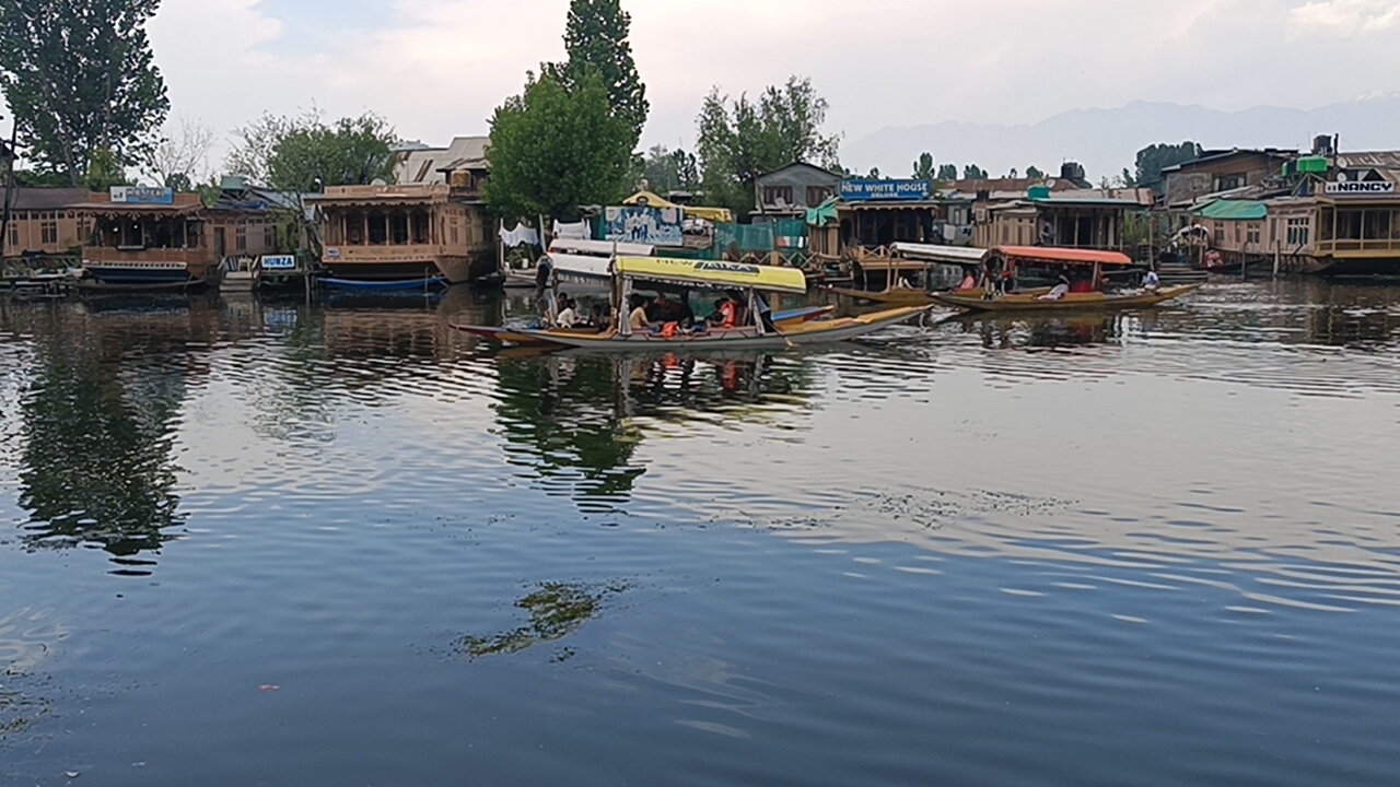Shikaras in the iconic Dal Lake with houseboats in the backdrop in Srinagar