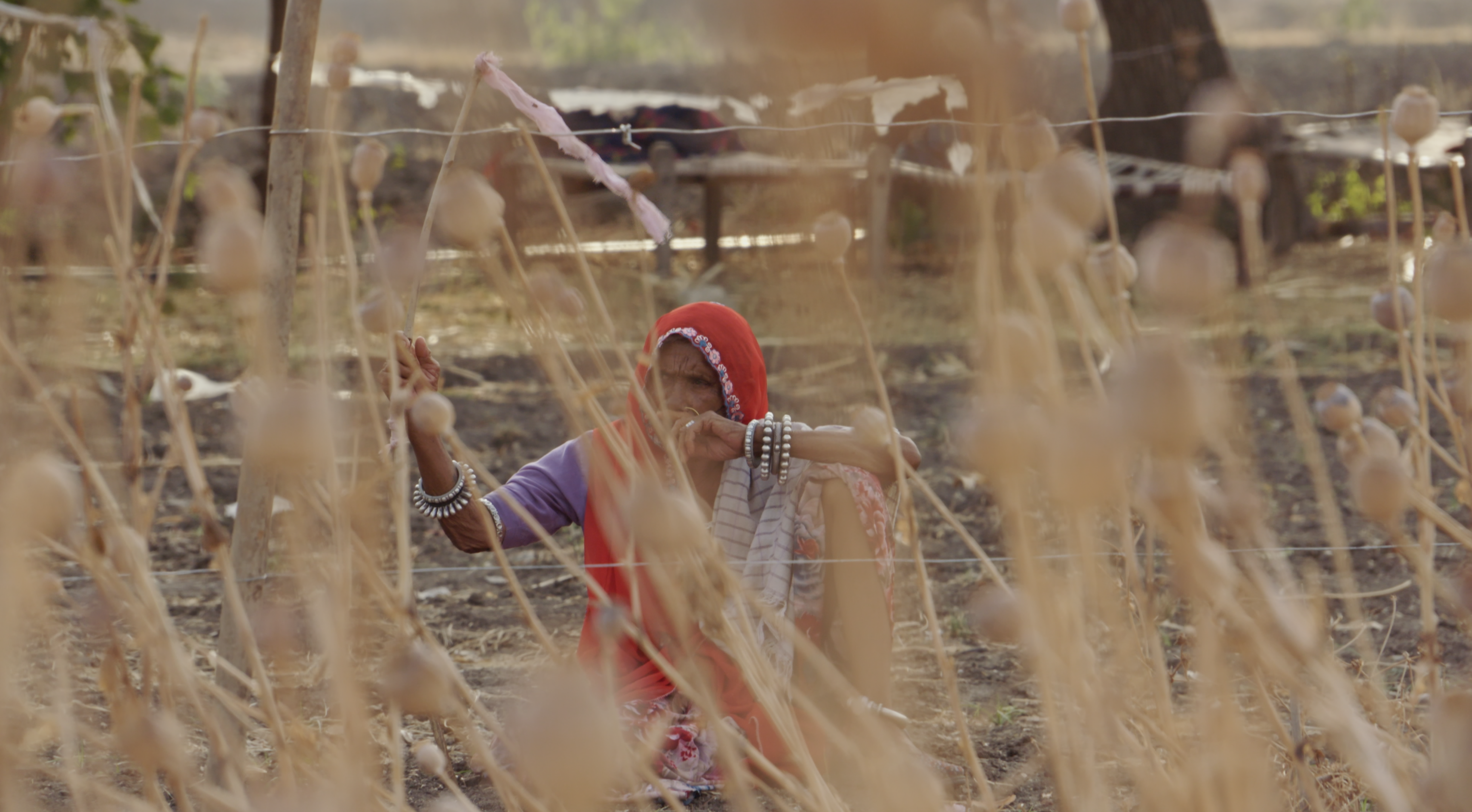 In many ways, Vivek Chaudhary's I, Poppy, refuses to give easy conclusions. It does not offer hope as a neat resolution. Instead, it shows a world where people are asked to stay in line, to not question, to simply survive.