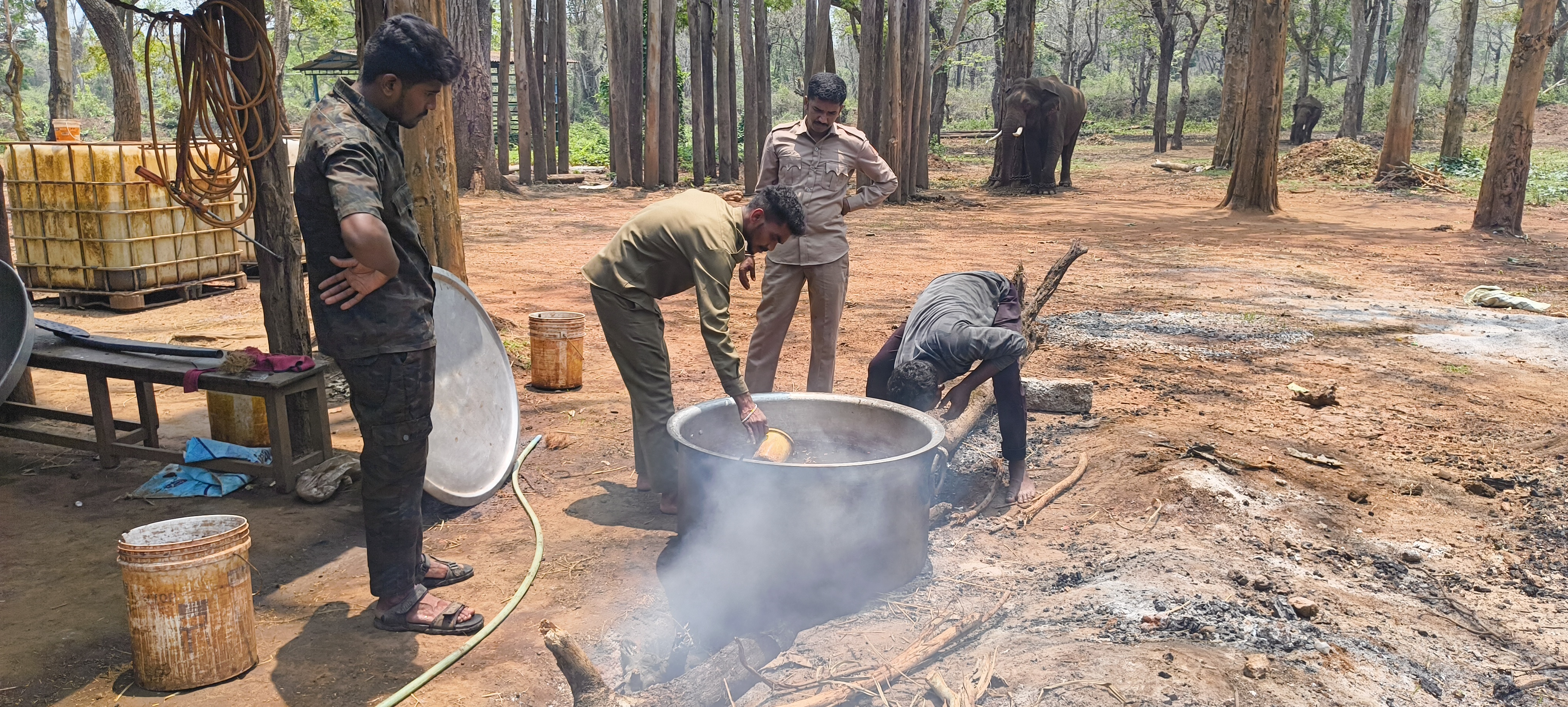 staff-at-sakrebailu-elephant-camp-are-preparing-food-for-elephants-in-a-wood-fired-oven