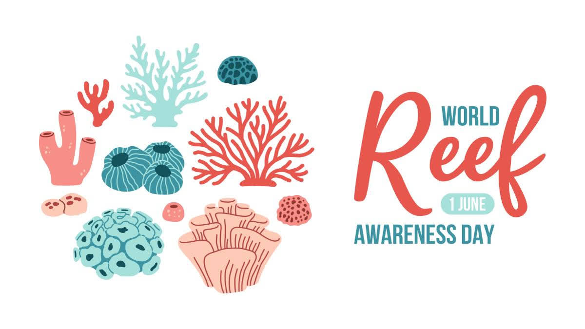CORAL REEFS