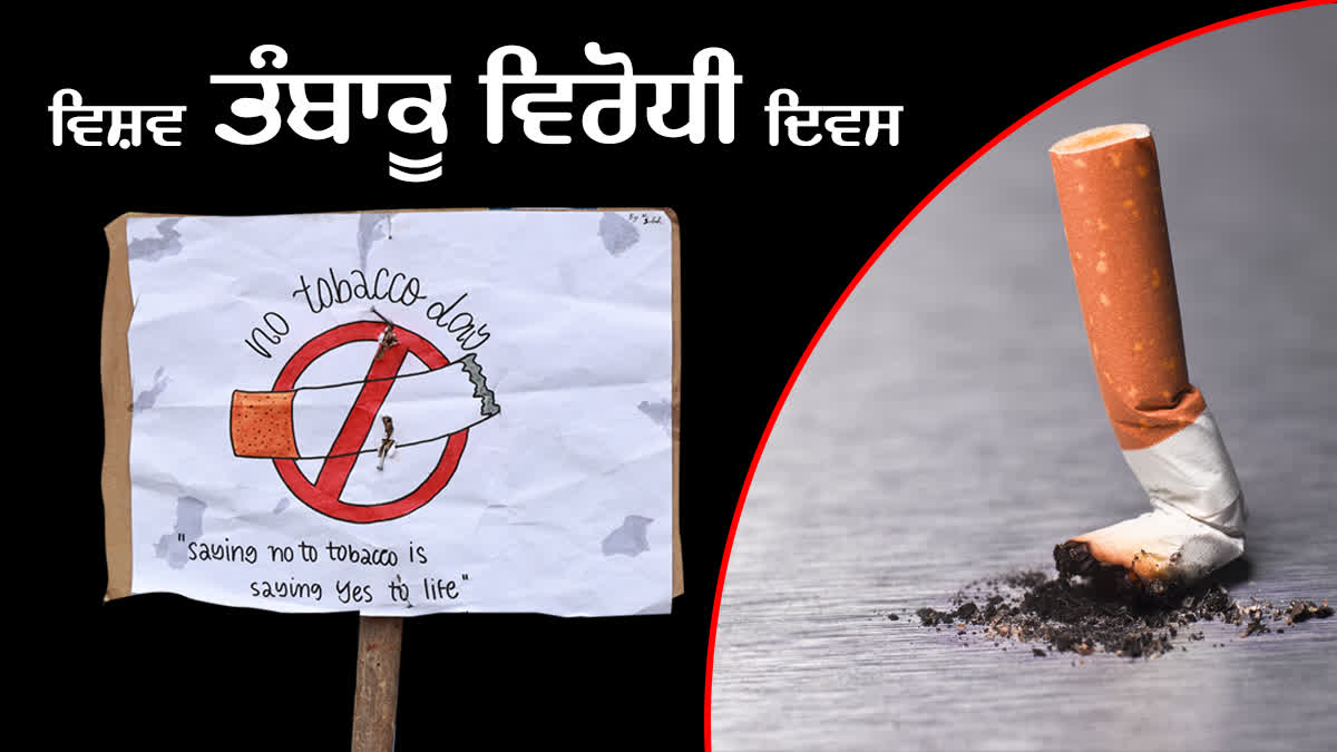 tobacco in punjabi title 🚭 Every cigarette takes
