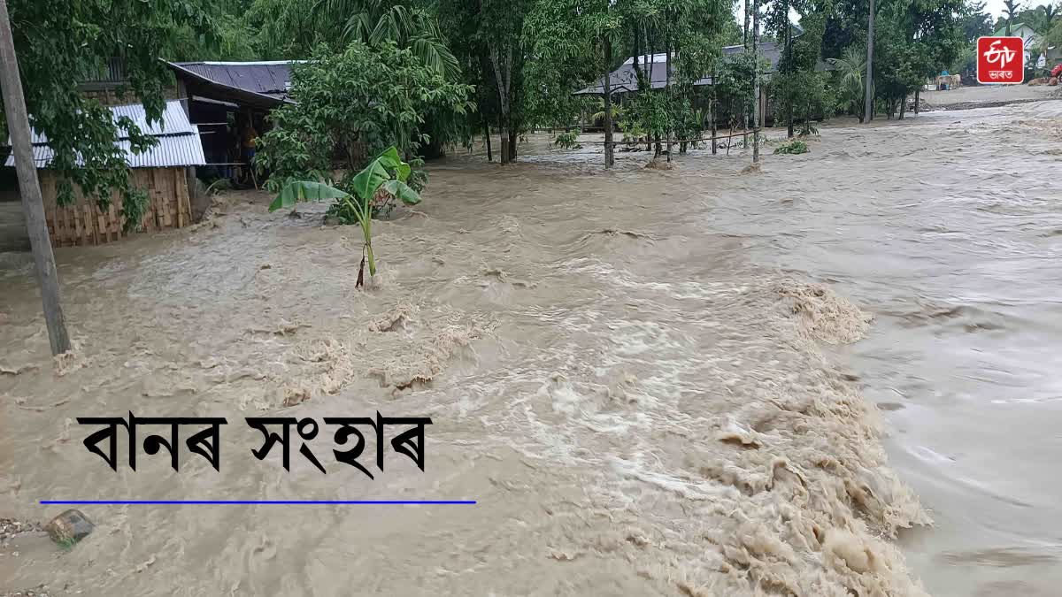 Assam Flood 2025