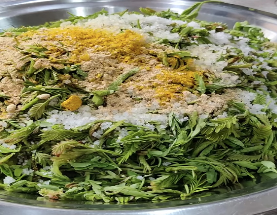 Chintachiguru Storage Tips