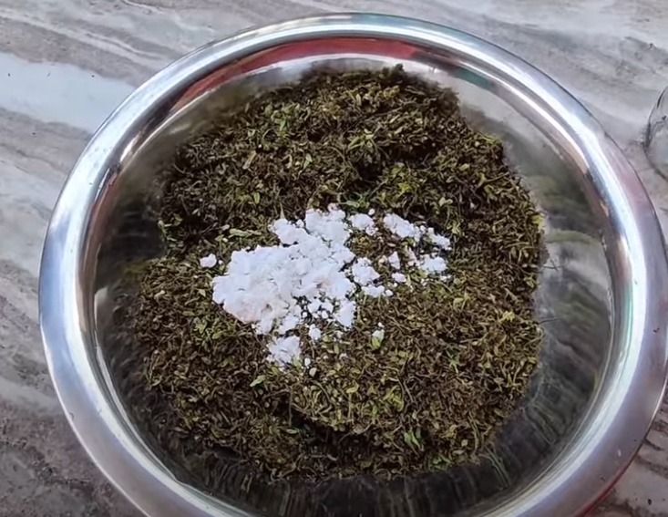 Chintachiguru Storage Tips