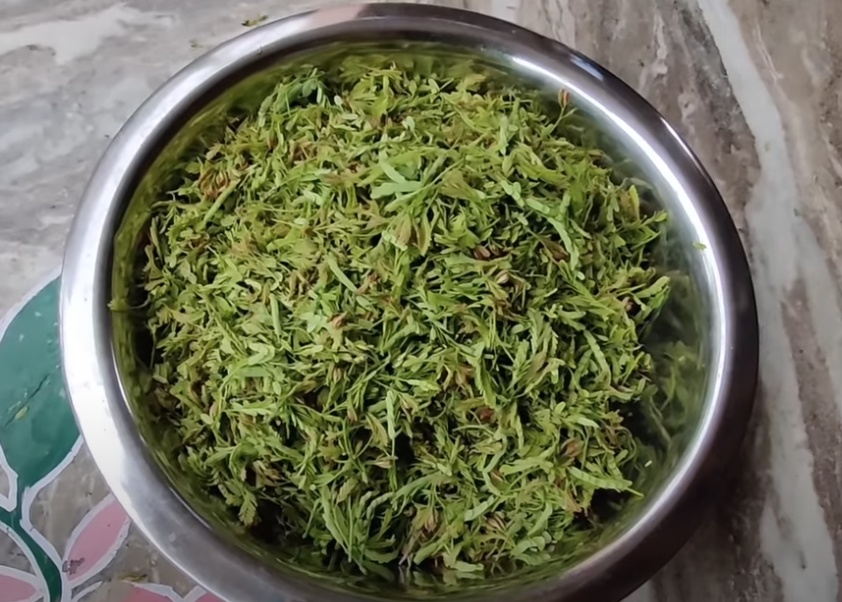 Chintachiguru Storage Tips