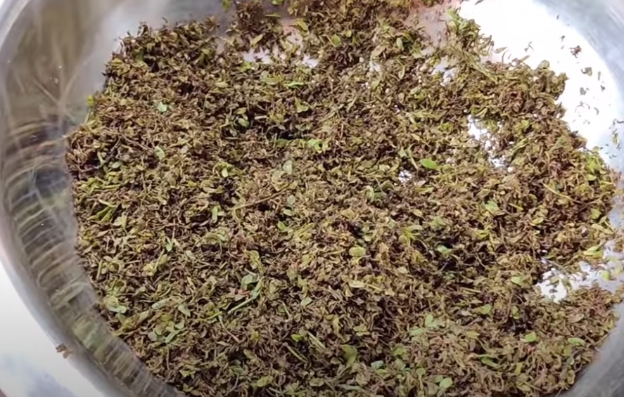 Chintachiguru Storage Tips