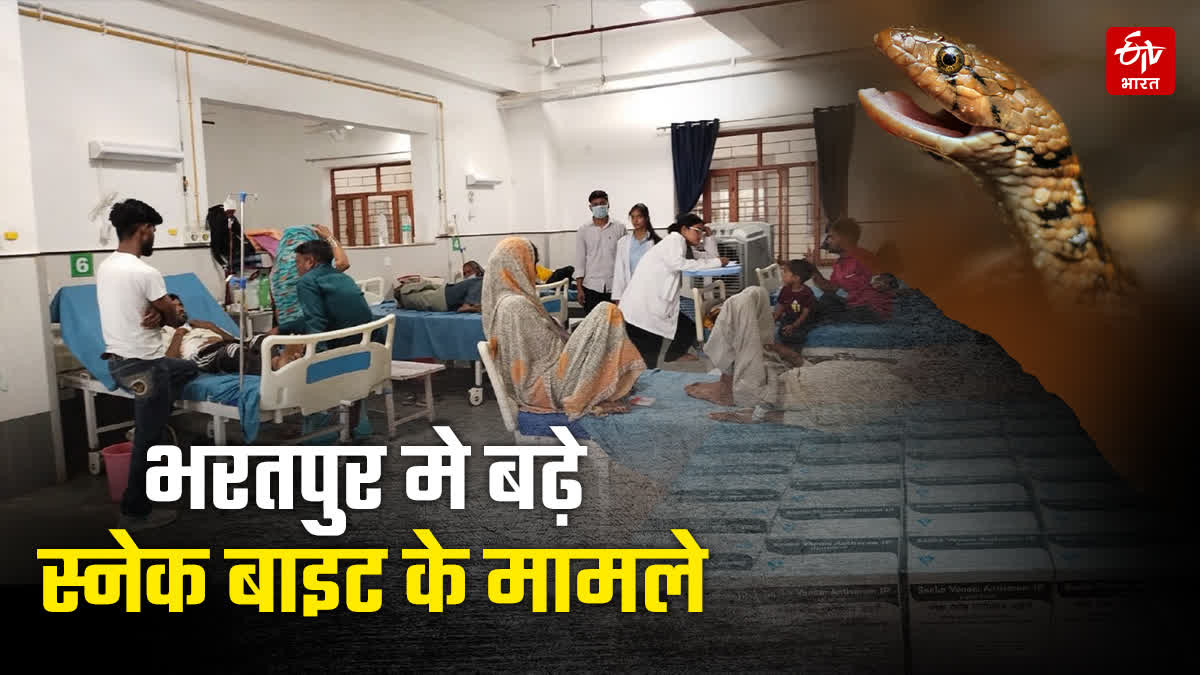 भरतपुर में सर्पदंश का बढ़ता खतरा