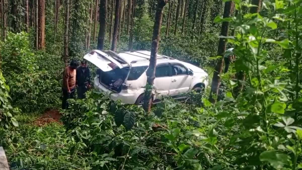 CAR CRASHES INTO PLANTATION