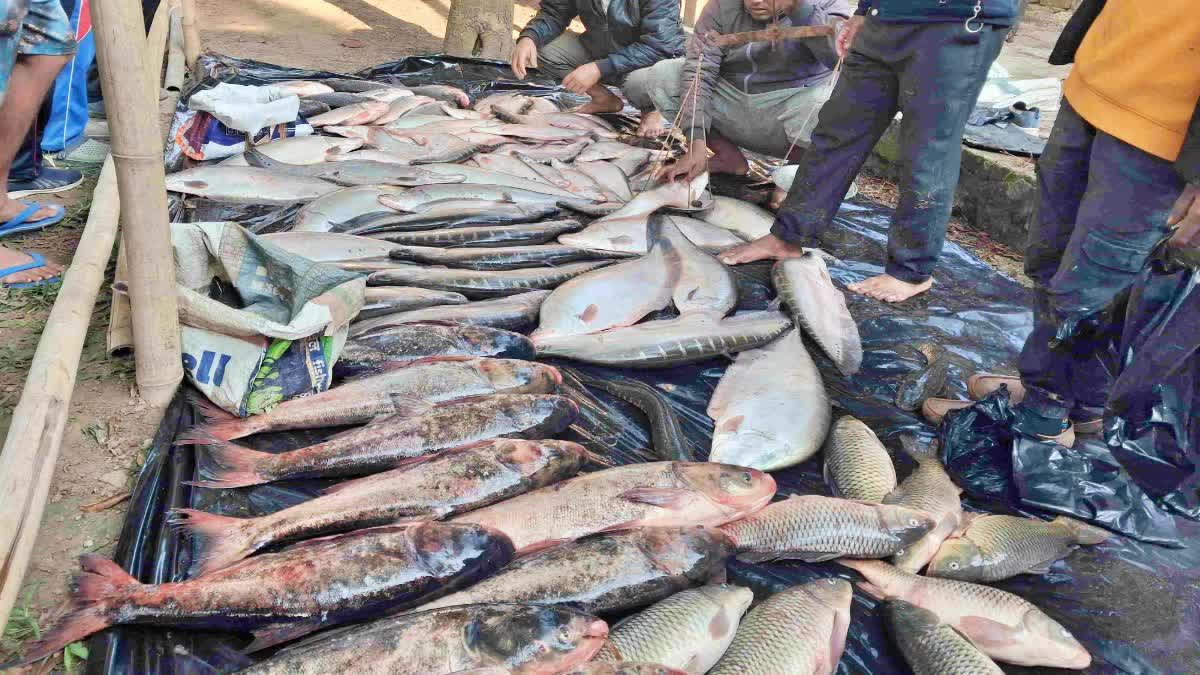 FISHERIES DEVELOPMENT CORPORATION