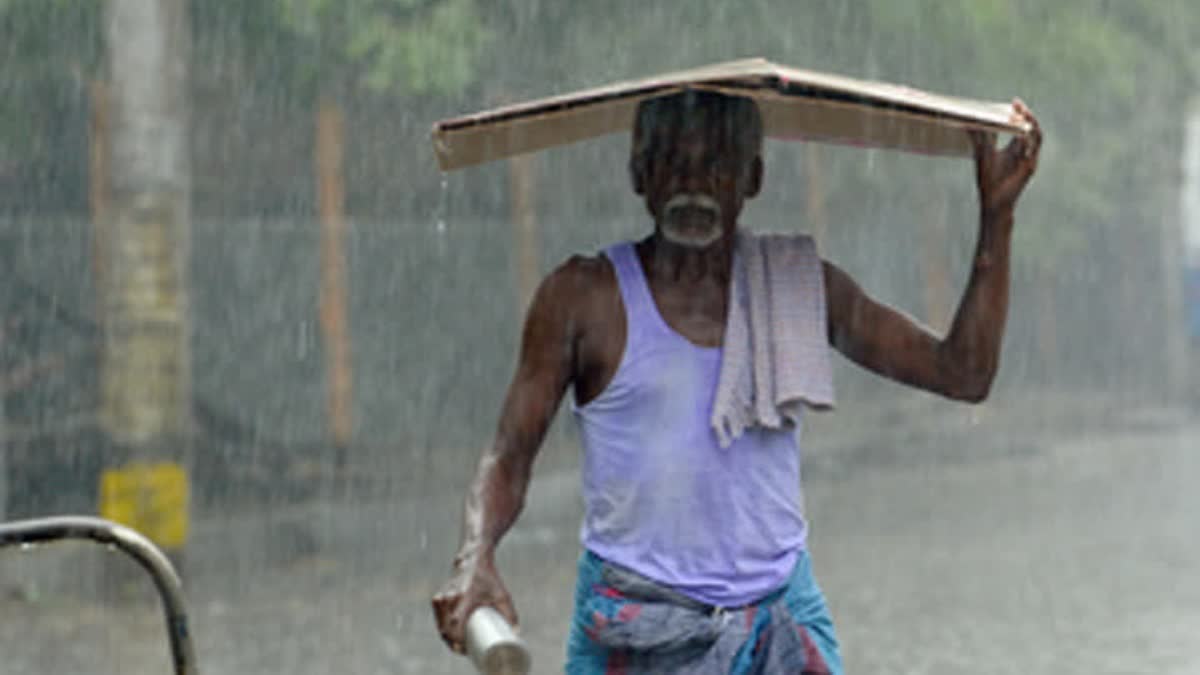 Maharashtra weather update