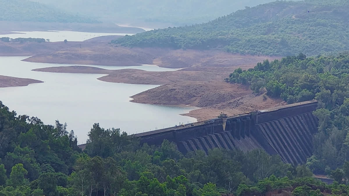 Koyna Dam Water storage