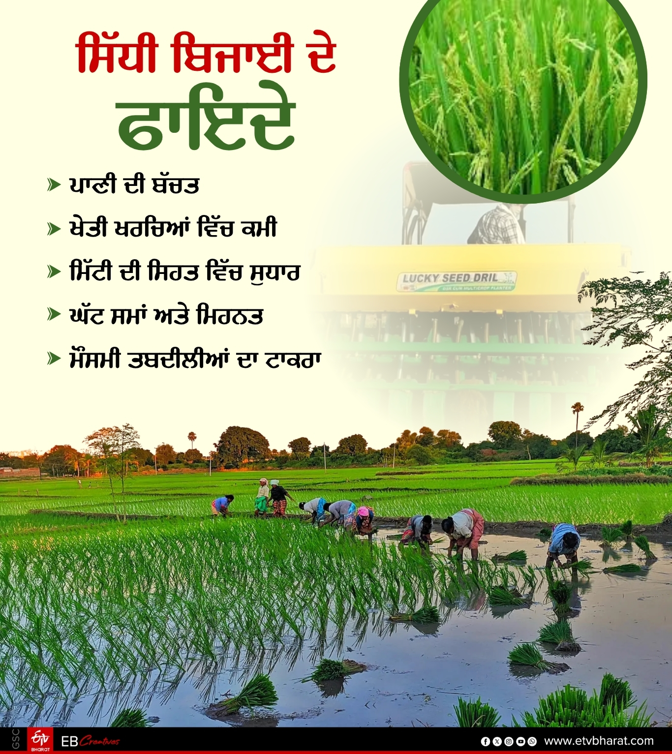 DIRECT SOWING