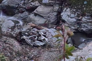 Eight People Die in road accident in Himachal Pradesh.