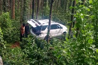 CAR CRASHES INTO PLANTATION