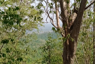 Tengra Patthar