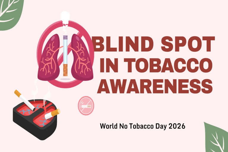 golden tobacco ltd share price Golden Tobacco Share Price Today golden tobacco ltd share price Golden Tobacco Share Price Today