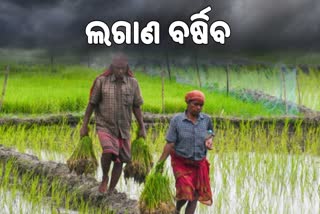 Odisha Rain Update