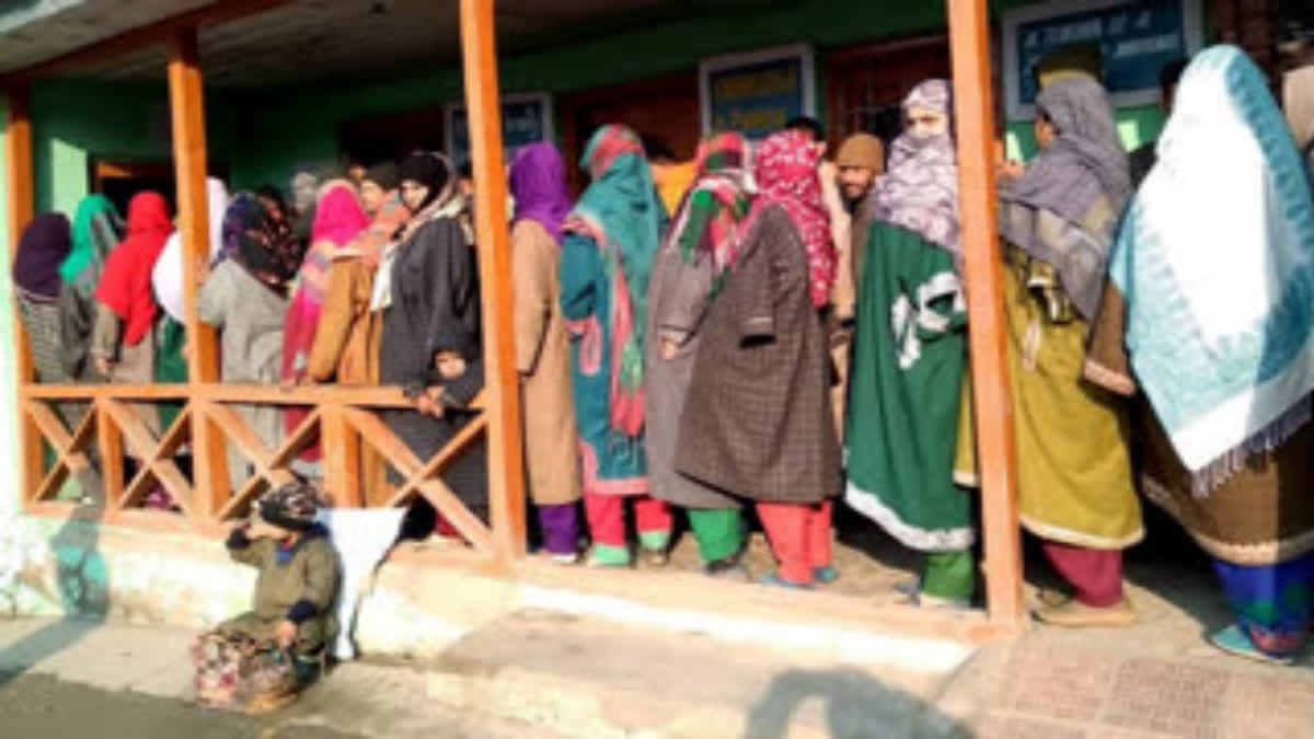J&K Assembly Elections: Action Taken Against 5 Govt Employees In Anantnag For Involvement In Political Activities Representational image