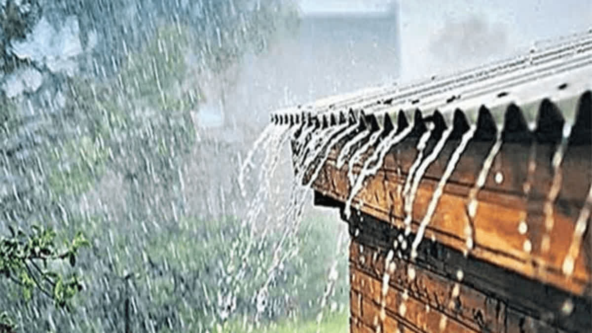 India Likely To Experience Above Normal Rainfall In September: IMD India Likely To Experience Above Normal Rainfall In September: IMD