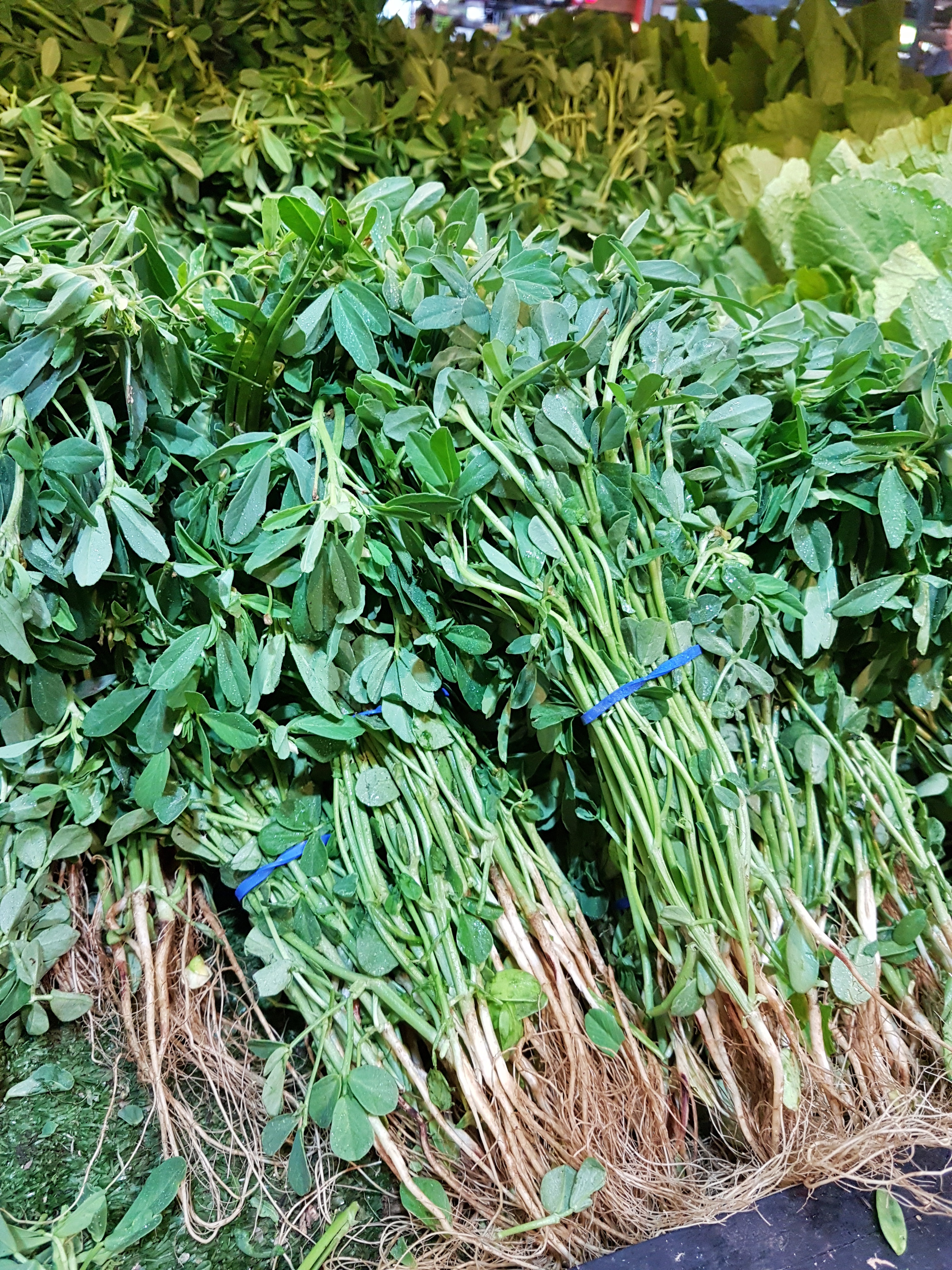 Mokkajonna Menthikura Curry