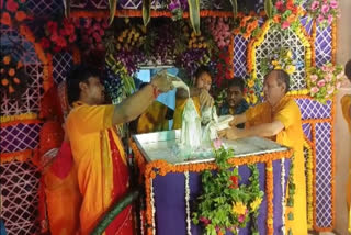 Thousands Gather In Mathura To Celebrate Radha Ashtami