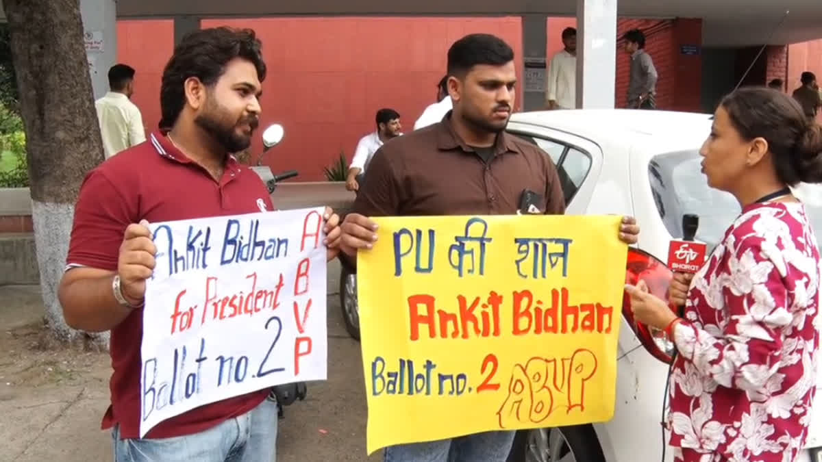 Panjab University Student Council Election Process