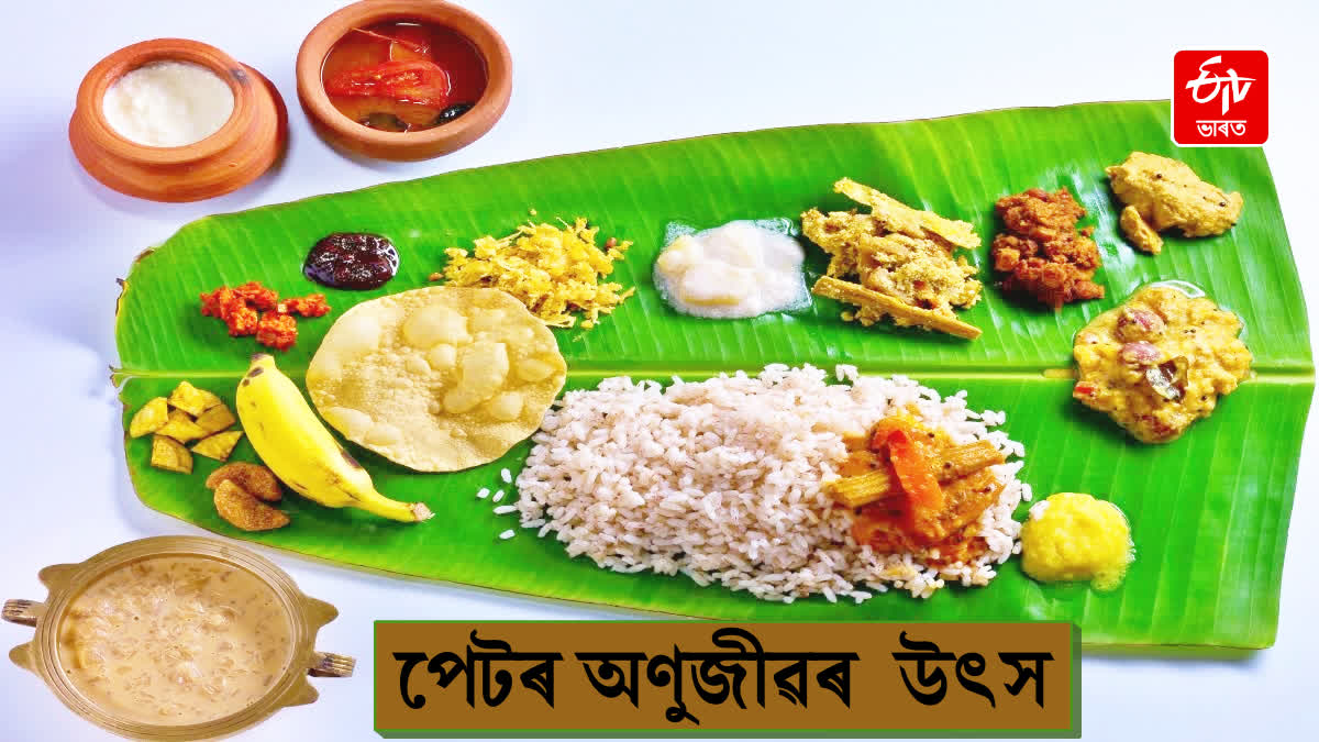 Each South Asian community appears to follow its own microbial journey, shaped by its culture, diet, geography and lifestyle