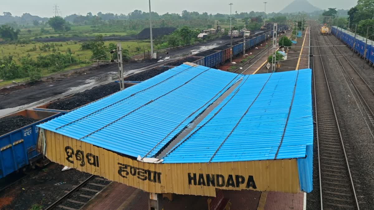 Illegal Coal Yard