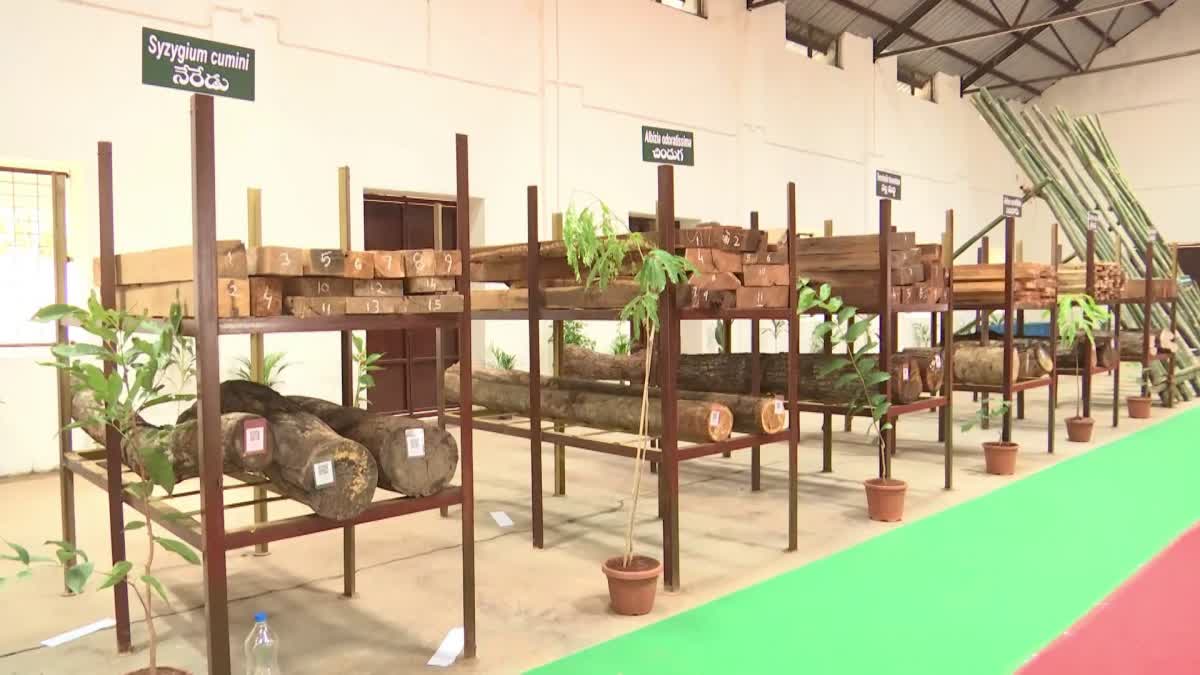 Central Craft Wood Banks in AP