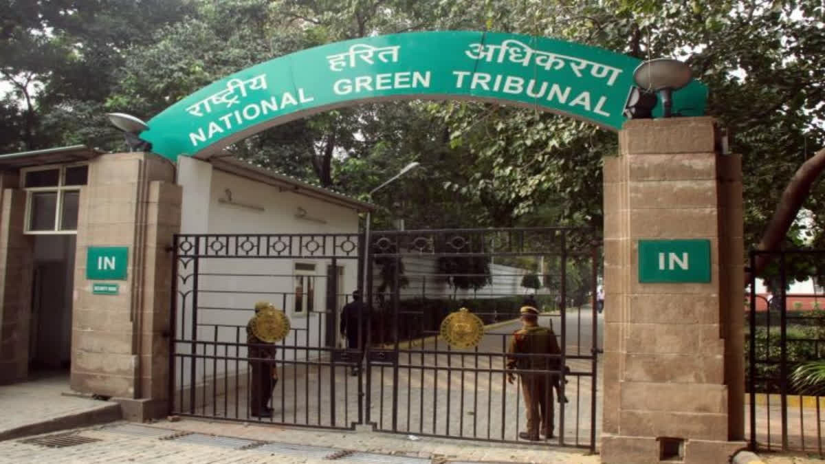 NGT Upholds Rs 10 Lakh Fine On Illegal Denim Dyeing Unit In Delhi NGT
