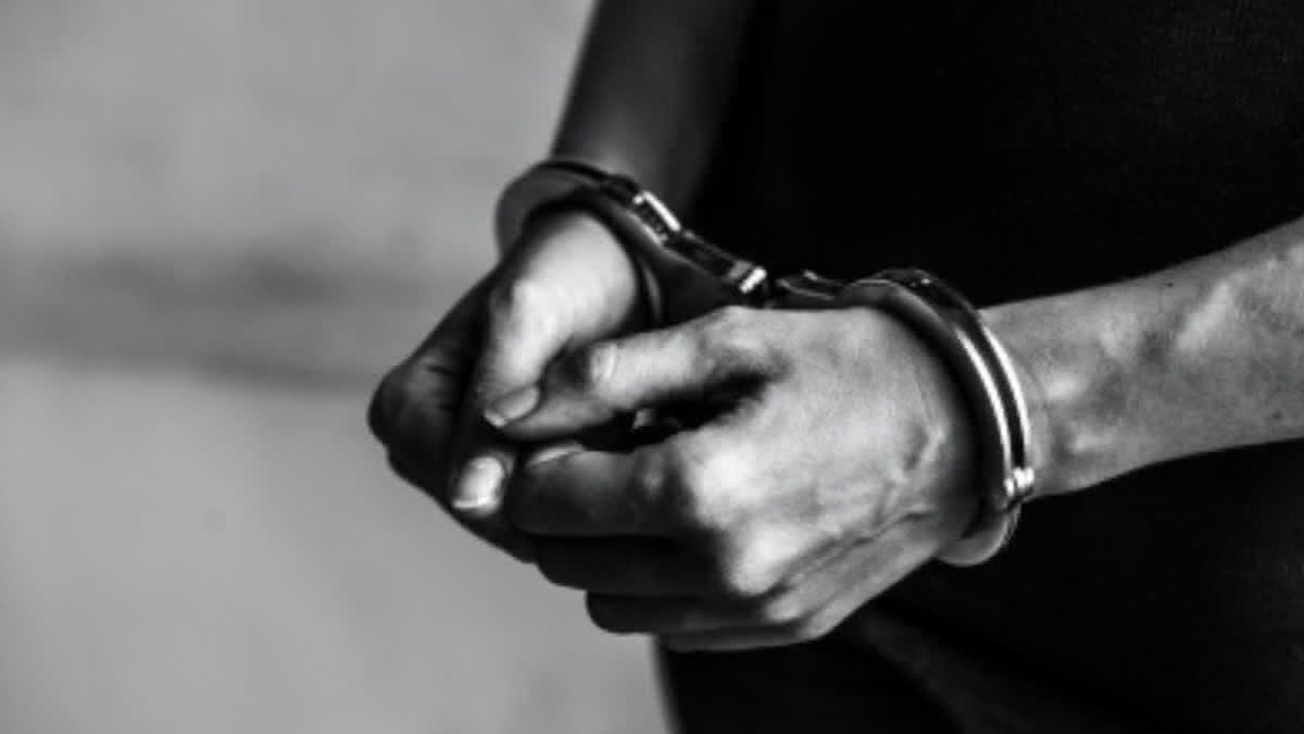 3-Year-Old Girl Allegedly Molested By School Cab Driver In Delhi, Accused Arrested