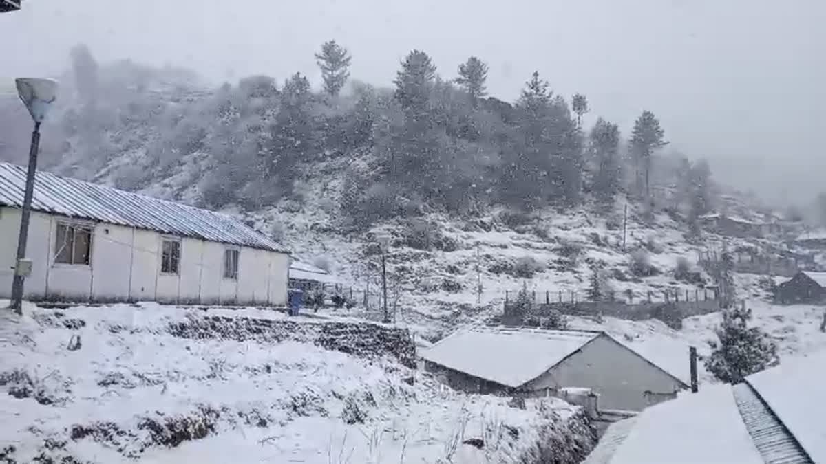 snow covered area