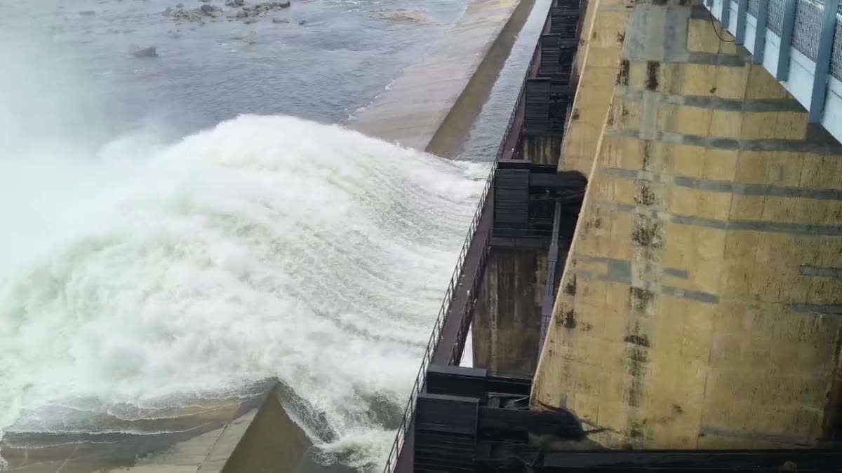 Scientists Develop Sunscreen Cover To Stop Lakes And Dams Losing Water